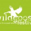 Wild Goose Festival