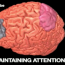 Your Brain on Action Video Games